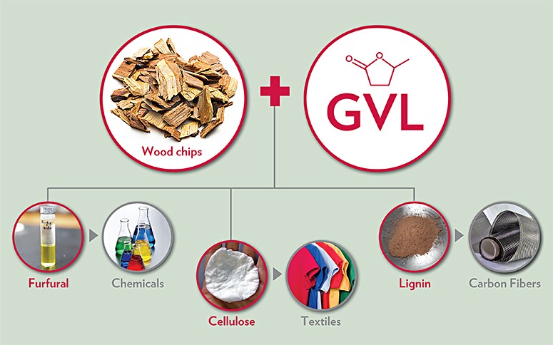 Graphic of the biomass conversion products