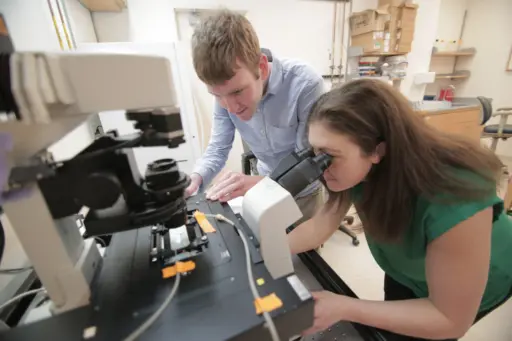 Students using optostat to record microscopic images of a fluorescent protein