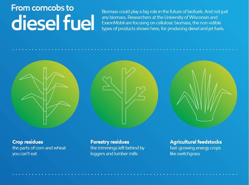 In Partnership With ExxonMobil, Huber Extends Biofuels Study - College ...