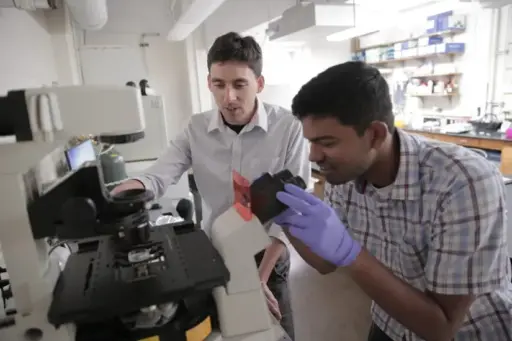 researchers in the lab