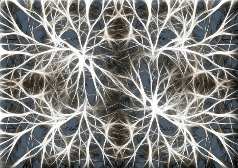 brain cells image