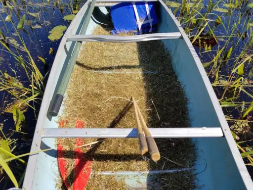 canoe filled with wild rice