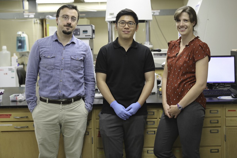 New cartilage failure findings promise insight for athletes College