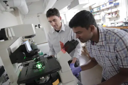 Jacob Notbohm and Aashrith Saraswathibhatla in lab