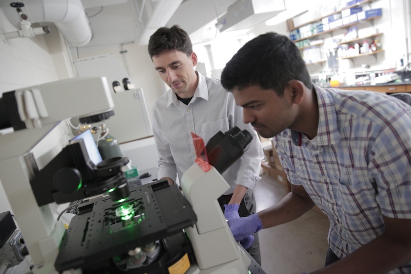 Photo of Jacob Notbohm and Aashrith Saraswathibhatla in lab