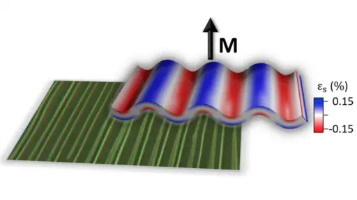 rippled GdPtSb membrane