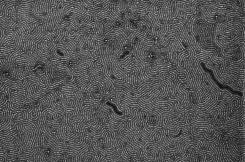 graphene nanoribbons