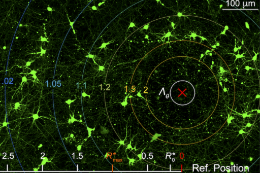 Figure from research paper