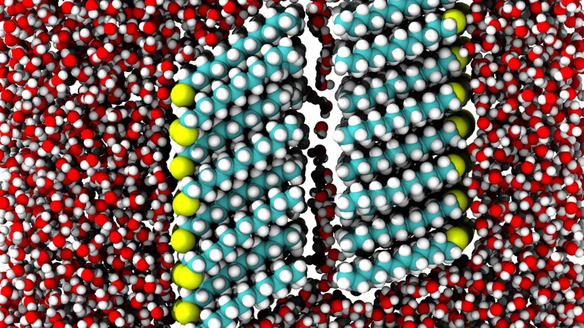 Rendering of Molecules