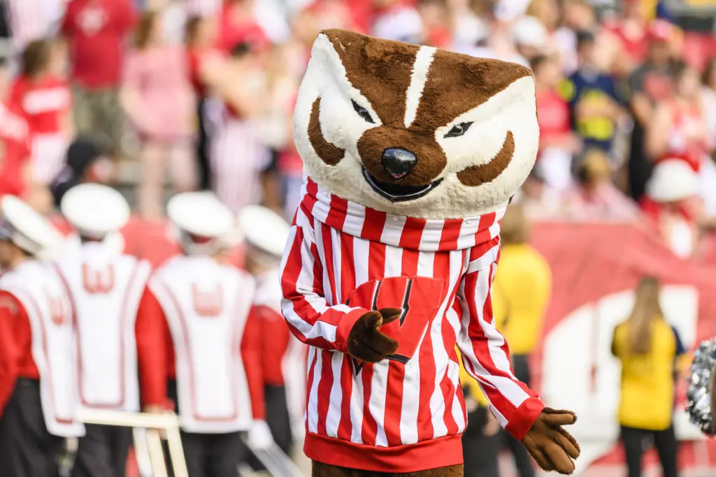 Bucky at Football game