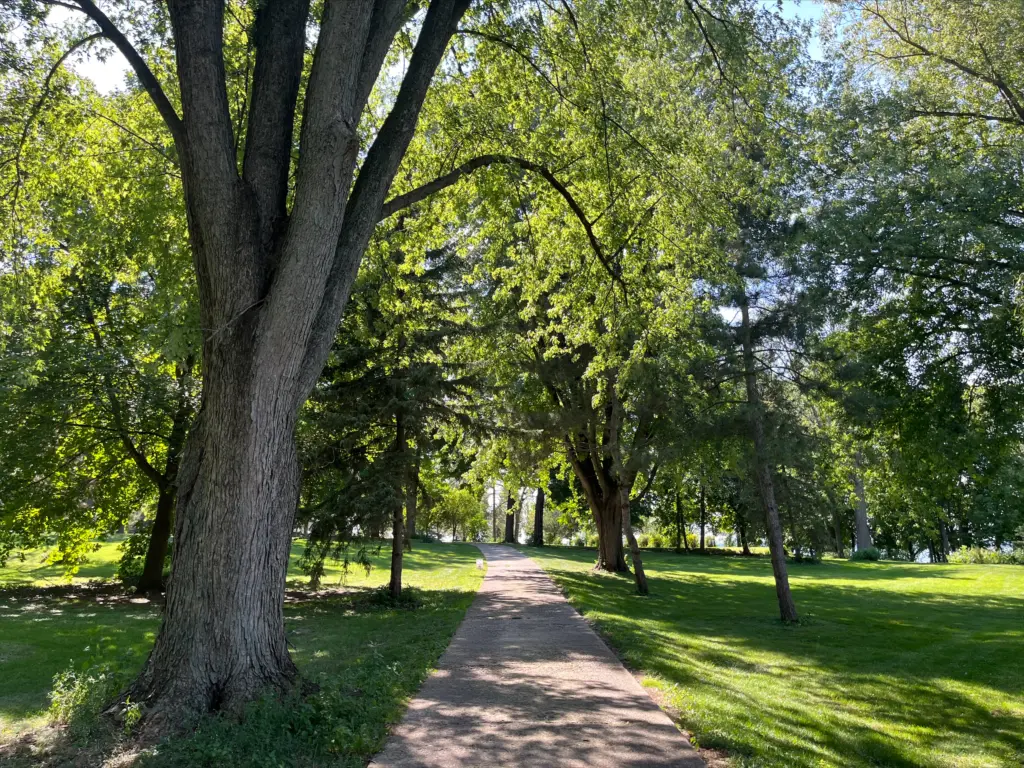 Tree-lined path through San Damiano Park
