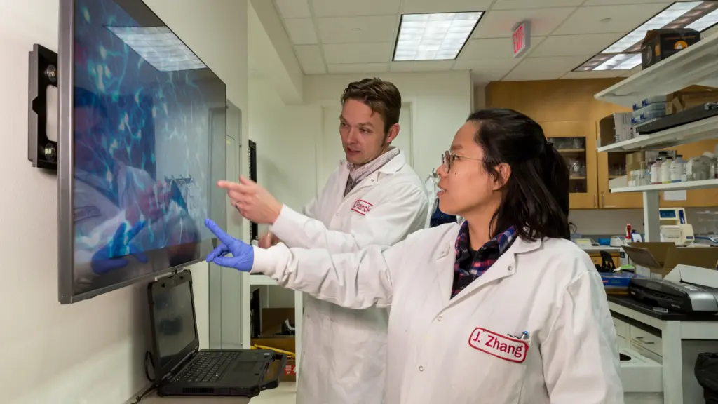 Professor Christian Franck and Assistant Scientist Jing Zhang examine an image of brain cells