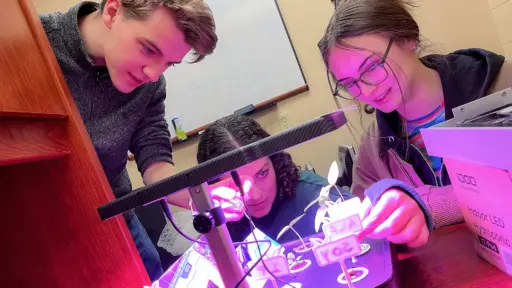Industrial engineering students Greyson Wainwright, Josie Beres and Rayne Wolf work on a desktop hydroponics system.