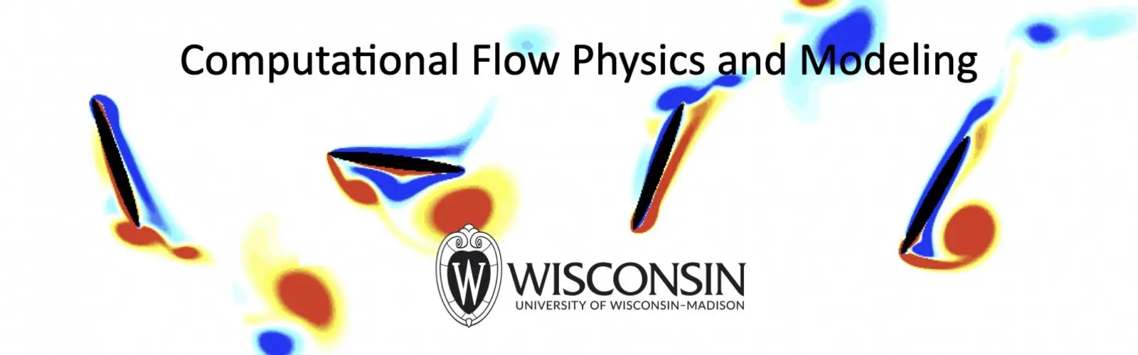 Computational Flow Physics and Modeling Logo