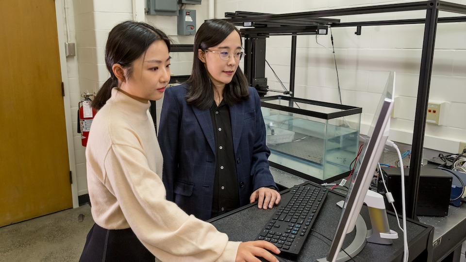 Graduate student Jinuan Lin and Assistant Professor Chu Ma working in the lab