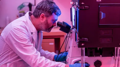 Postdoctoral researcher Kieran Sweeney works at a microscope