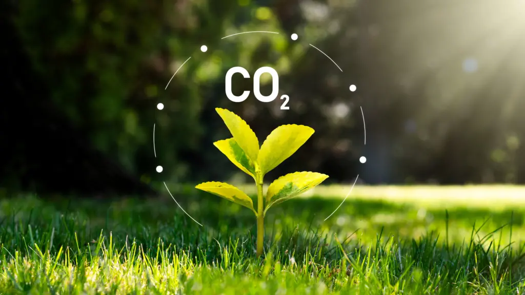 carbon footprint stock image