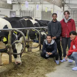 Students with dairy cows