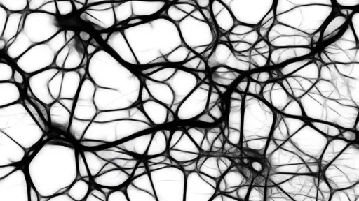 Network of neurons