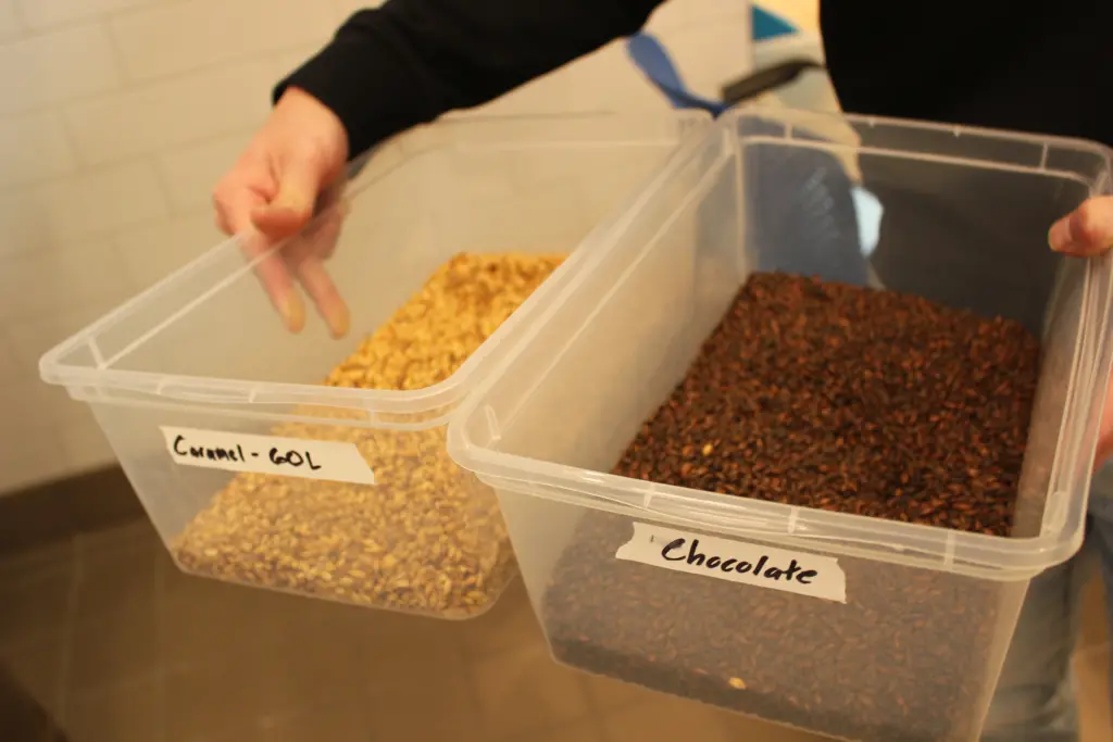 Grains used during brewing process