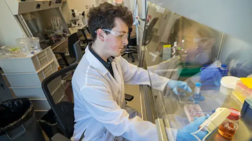 PhD student Mitchell Josvai works in the lab
