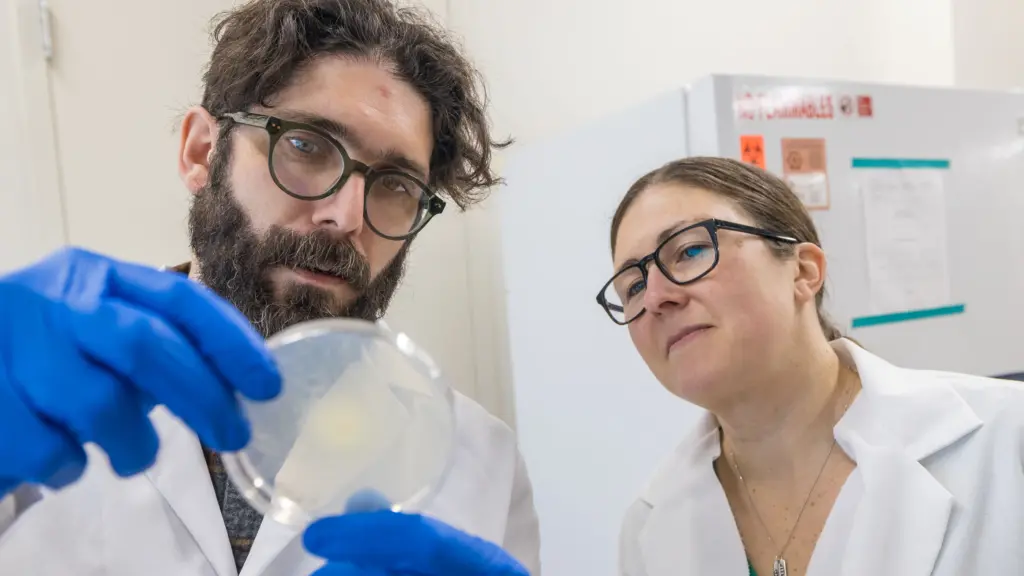 PhD student Kevin Stindt and Associate Professor Megan McClean