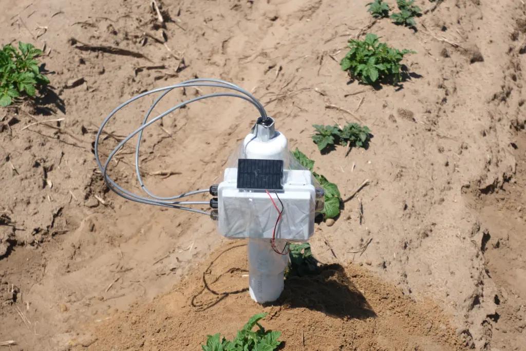 A sensing rod installed in soil