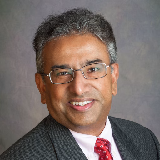 Raj Veeramani