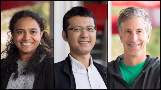 Vinayak, Huang, Nowak