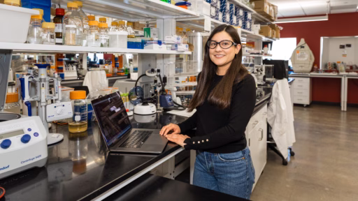 Brenda Cansino-Loeza