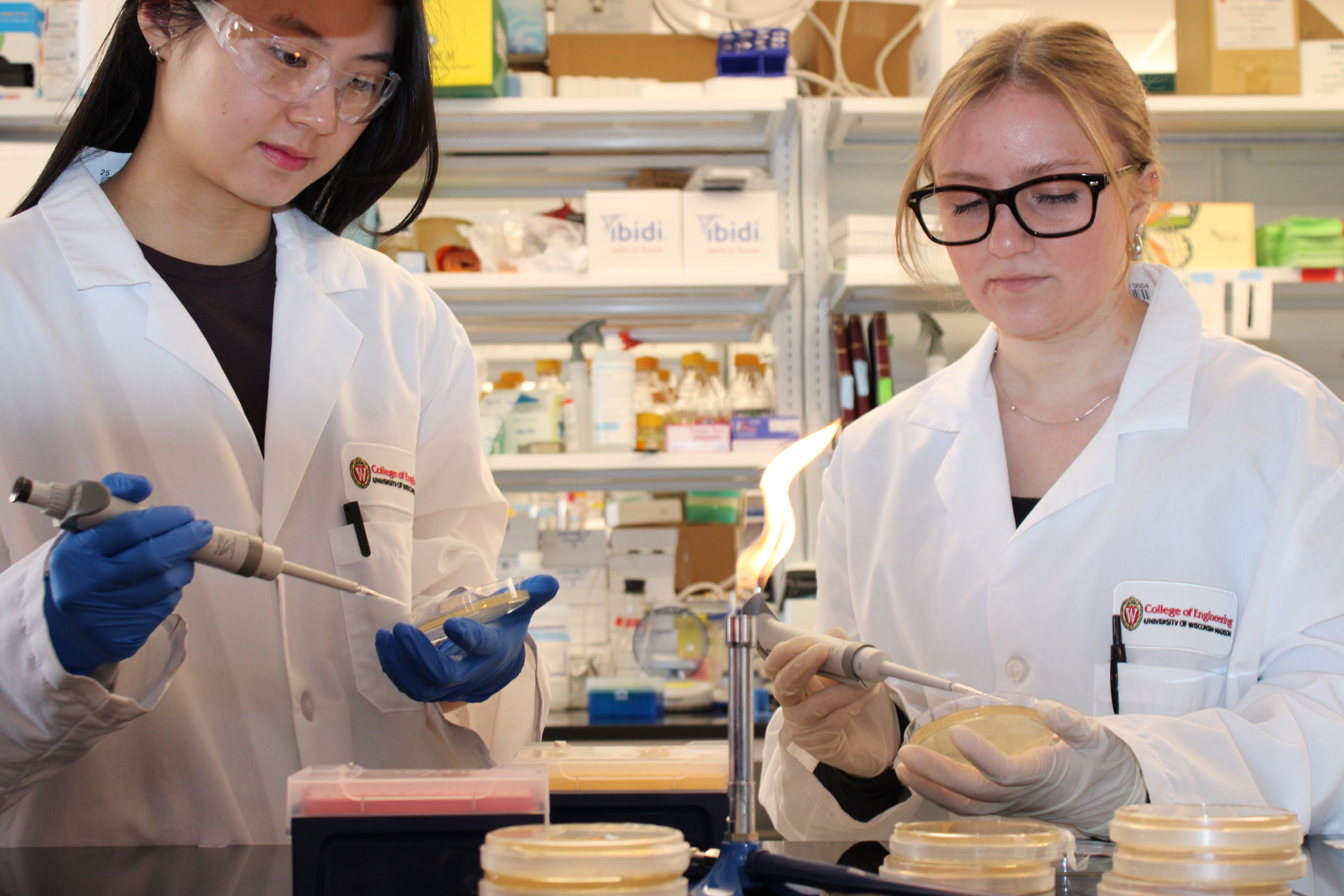 Bioengineering and Biotechnology - College of Engineering