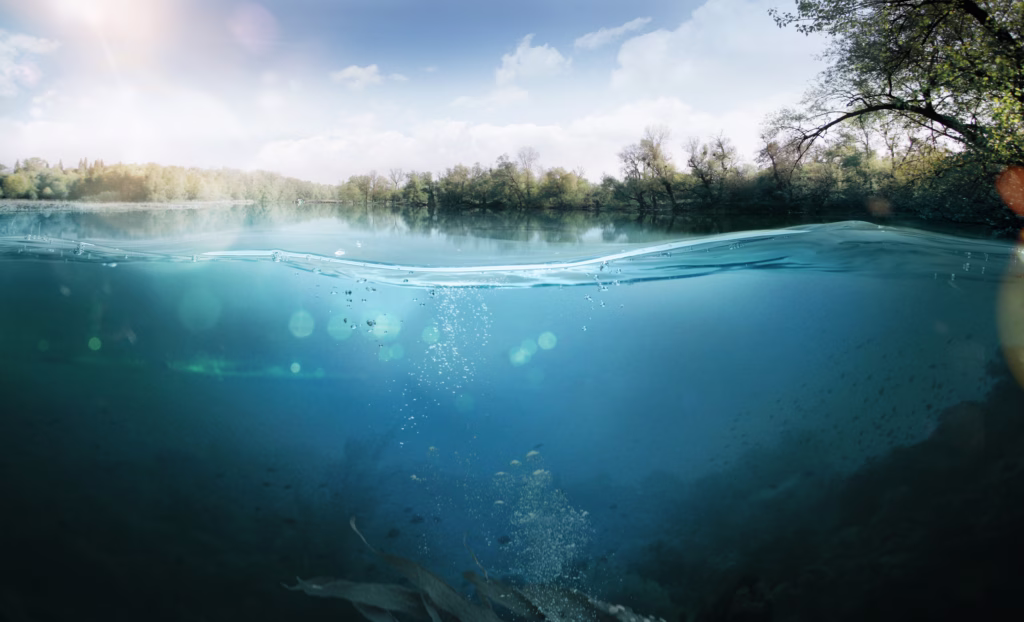 Underwater. Beautiful lake between the green banks