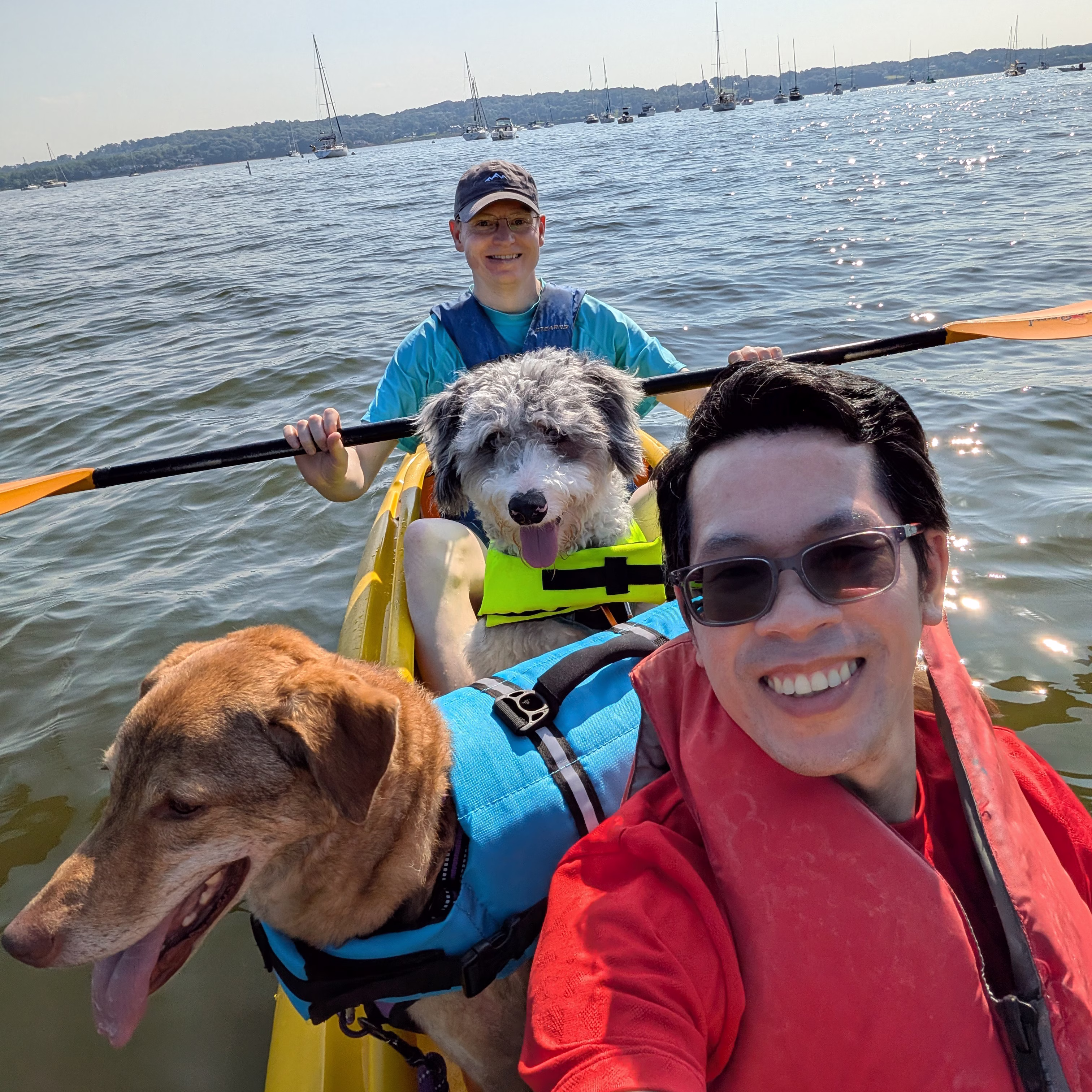 Duc-Huy Nguyen and his partner are kayaking with life vests on with 2 large dogs in the kayak with them.