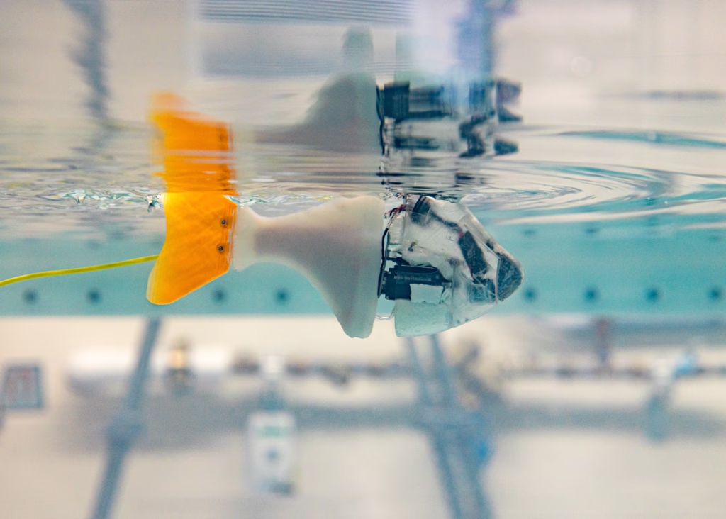 The Wang lab's robotic fish