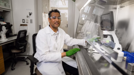 Professor Krishanu Saha