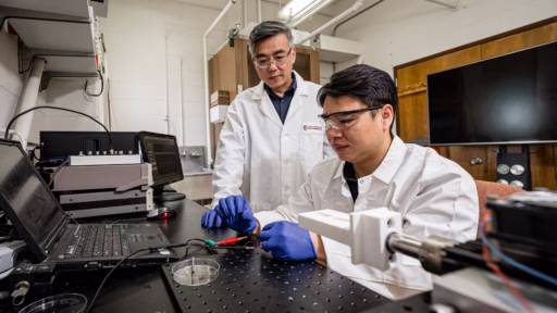 Professor Xudong Wang and postdoctoral scholar Pengfei Chen