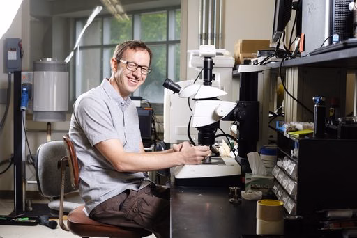Professor Maik Lang from the University of Tennessee, Knoxville poses in his research lab looking through a microscope